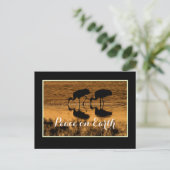 Krane und Weltfrieden an der Grenze Postkarte (Stehend Vorderseite)