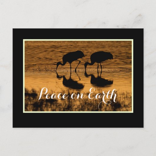 Krane und Weltfrieden an der Grenze Postkarte (Vorderseite)