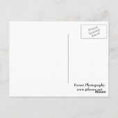 Krane Wading in Marsh Postkarte (Rückseite)