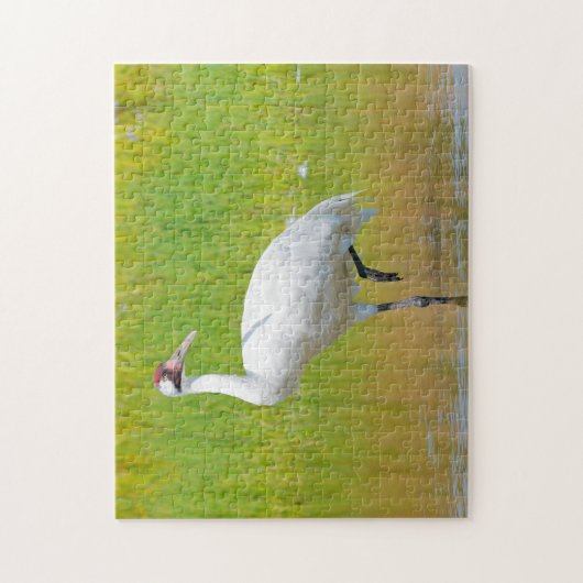Krane Wading in Marsh Puzzle (Vertikal)