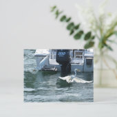 Kranfischerei Postkarte (Stehend Vorderseite)