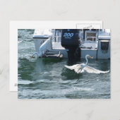 Kranfischerei Postkarte (Vorne/Hinten)