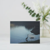 Kranich am See bei Sonnenuntergang Postkarte (Stehend Vorderseite)