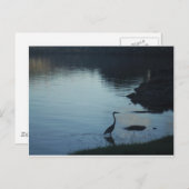 Kranich am See bei Sonnenuntergang Postkarte (Vorne/Hinten)