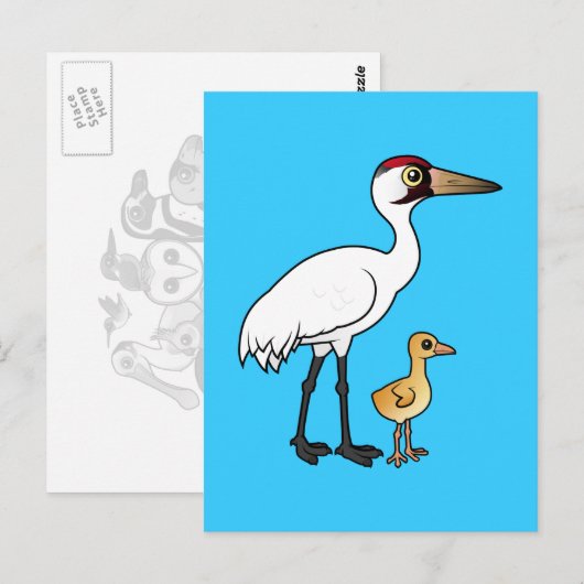 Kranich mit Kick Postkarte (Vorne/Hinten)