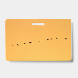 Kraniche beim Sonnenaufgang Ausweis