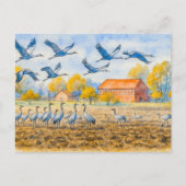 Kraniche im Ackerbau Feiertagspostkarte (Vorderseite)