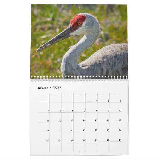 Kraniche Kalender (Jan 2027)