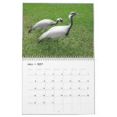 Kraniche Kalender (Mär 2027)