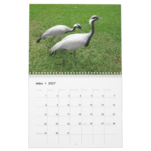 Kraniche Kalender (Mär 2027)