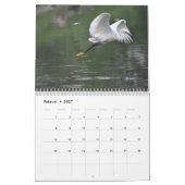 Kraniche Kalender (Feb 2027)