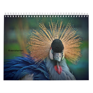 Kraniche Kalender