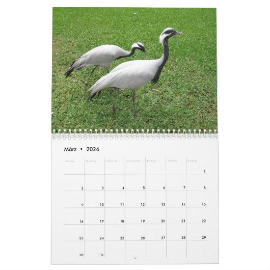 Kraniche Kalender (Mär 2026)