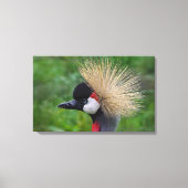 Kraniche Leinwanddruck (Vorderseite)