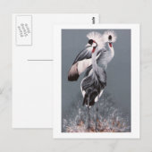 Kraniche Postkarte (Vorne/Hinten)