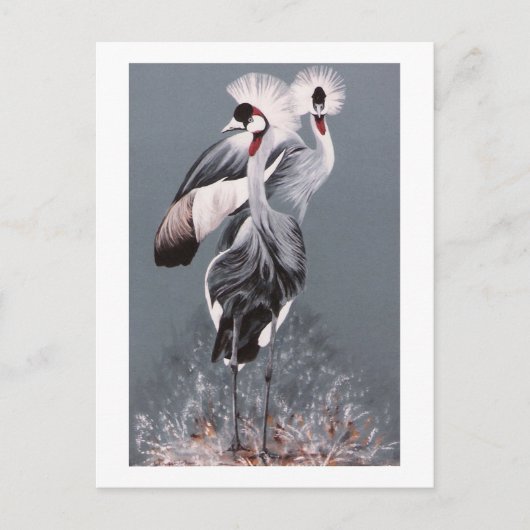 Kraniche Postkarte (Vorderseite)