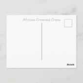 Kraniche Postkarte (Rückseite)