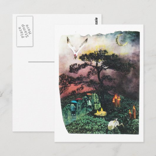 Kraniche Postkarte (Vorne/Hinten)