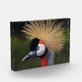 Kranichkranich Fotoblock