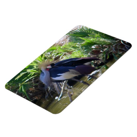 Kranichkranich Magnet (Linke Seite)