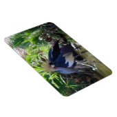 Kranichkranich Magnet (Rechte Seite)