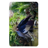 Kranichkranich Magnet (Vertikal)