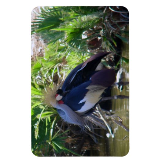 Kranichkranich Magnet (Vertikal)