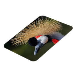 Kranichkranich Magnet