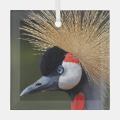 Kranichkranich Ornament Aus Glas (Vorderseite)