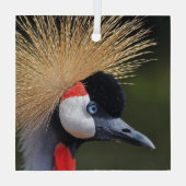 Kranichkranich Ornament Aus Glas (Rückseite)