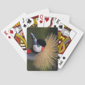 Kranichkranich Spielkarten (Rückseite)