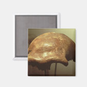 Kranium eines Neandertalers Magnet (Vorderseite/Rückseite)