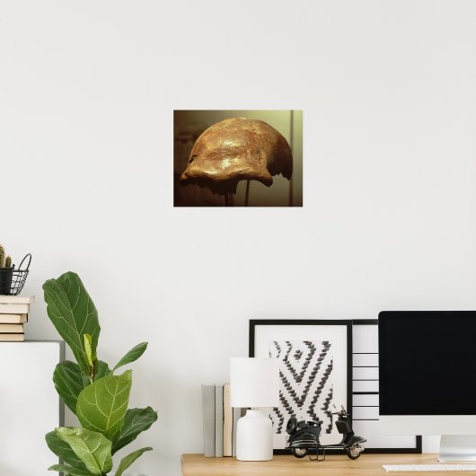 Kranium eines Neandertalers Poster (Heimbüro)