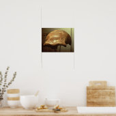 Kranium eines Neandertalers Poster (Küche)