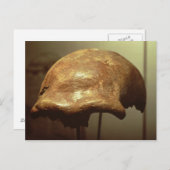 Kranium eines Neandertalers Postkarte (Vorne/Hinten)