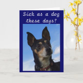 KRANK ALS HUND IN DIESEN TAGEN? KARTE (Gelbe Blume)