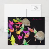 Krankarton, Igel Postkarte (Vorne/Hinten)