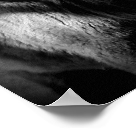 Krankenpflege Filly Poster (Ecke)