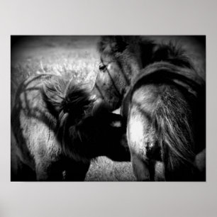 Krankenpflege Filly Poster