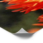 Krankenpflege ist eine Supermacht Kunst drucken Pl Poster (Ecke)