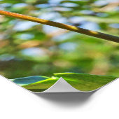 Krankenpflege ist eine Supermacht Kunst drucken Pl Poster (Ecke)