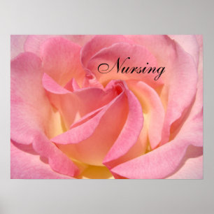 Krankenpflegekunstdrucke pflegt rosa Rosen-Blume Poster