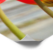 Krankenschwester ist geborene Kunst Kümmre Mitgefü Poster (Ecke)