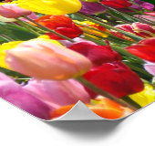 Krankenschwestern Danke! Poster Art Pflege Woche T (Ecke)