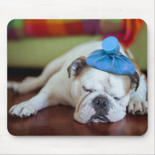 Kranker junger Welpe Getty Bild-  Mousepad