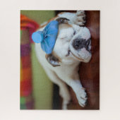 Kranker junger Welpe Getty Bild-| Puzzle (Vertikal)