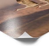 Kranparade im neuen mexikanischen Himmel Fotodruck (Ecke)