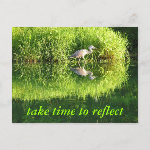 Kranreflexion Postkarte