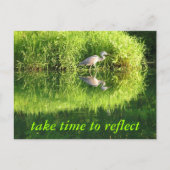 Kranreflexion Postkarte (Vorderseite)