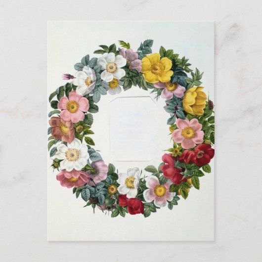 Kranz der Rose, Frontispiece für "Les Rose" Postkarte (Vorderseite)